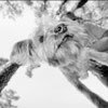 Atlanta Photography Workshops Gift Certificates
