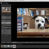 Adobe Lightroom® CC Workflow & Shooting Raw - 1 Day Workshop - Atlanta, GA
